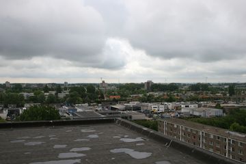 IMG 2261
