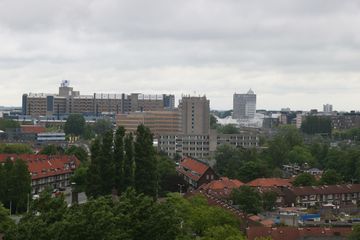 IMG 2269