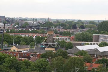 IMG 2271