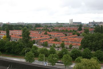 IMG 2276