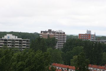 IMG 2278