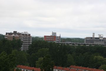 IMG 2279