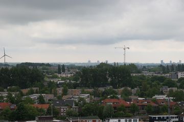 IMG 2282