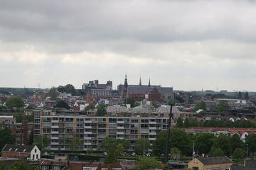 IMG 2285