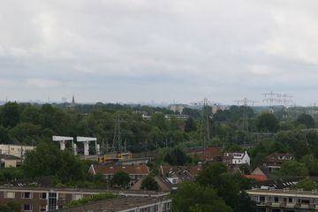 IMG 2302