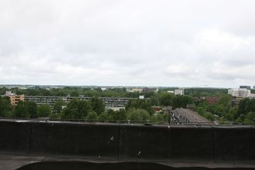 IMG 2308