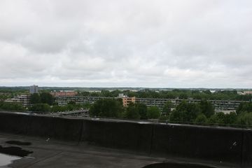 IMG 2309