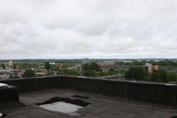 IMG 2310