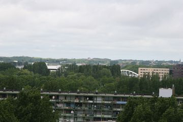 IMG 2311