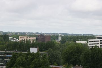 IMG 2312