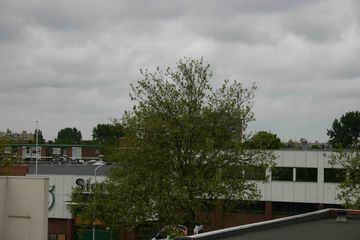 IMG 0824