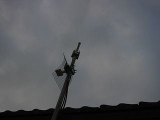 img 1929