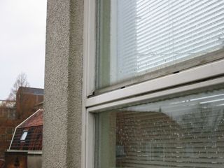 img 0190