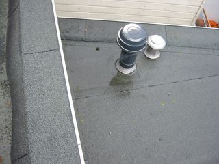 img 0195