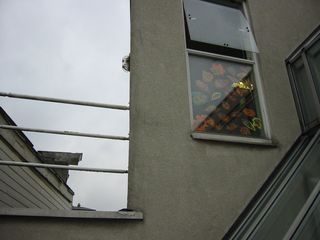 img 0199