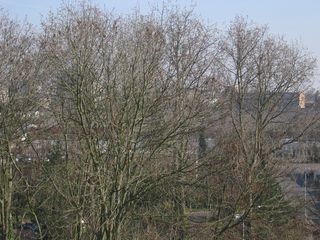 muiderkring55