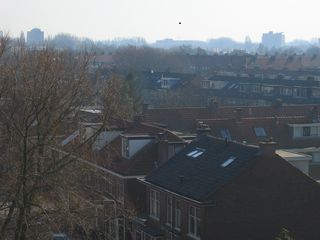 muiderkring59