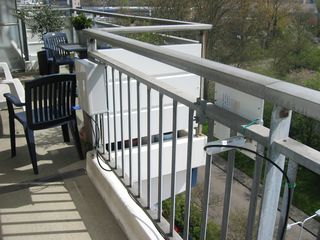 muiderkring iris91