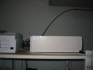 IMG 0629