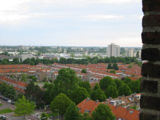 img 0817