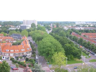 img 0818