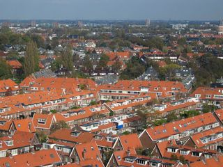 IMG 2555
