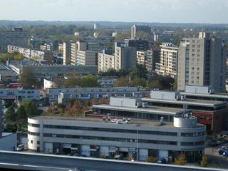 IMG 2573