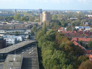 IMG 2575