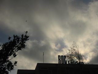 img 1319