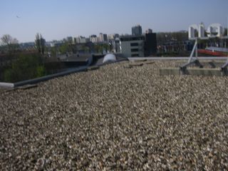 img 0693