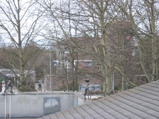 regenboogpad0006