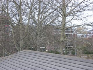 regenboogpad0007