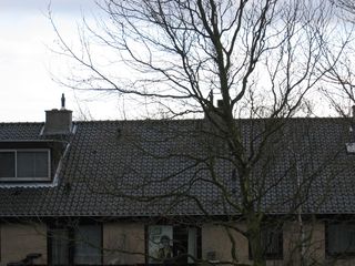regenboogpad0023