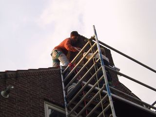 IMG 1952