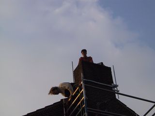 IMG 1955