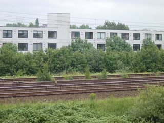 dsc00621