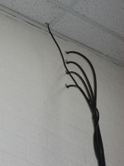 img 0689