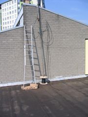 img 1599
