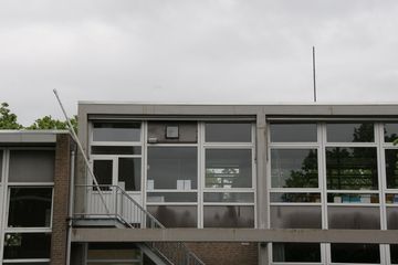 IMG 4421