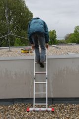 IMG 4425