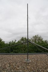 IMG 4427