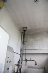 IMG 4443
