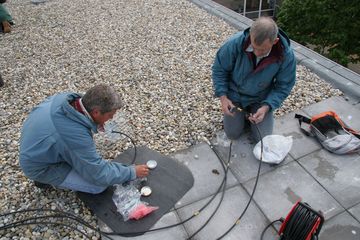 IMG 4446