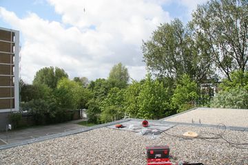 IMG 4455
