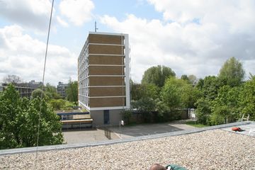 IMG 4456