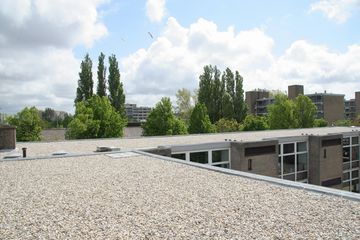 IMG 4458