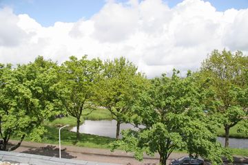 IMG 4462