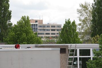 IMG 4472