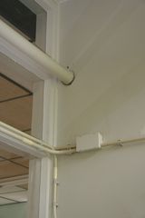 IMG 4477