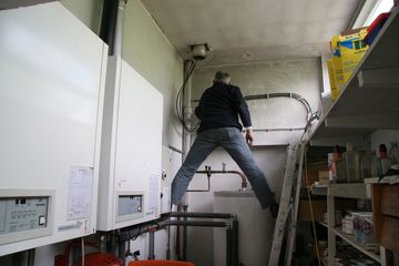 IMG 4482
